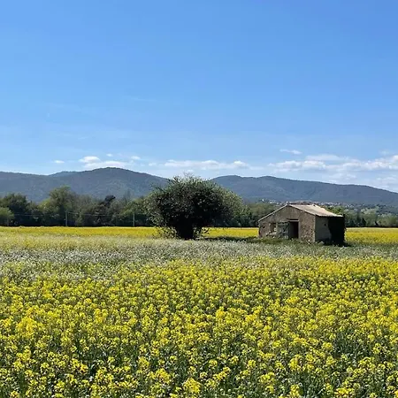 Mon Petit Paradis Sur Saint-aygulf * Frejus
